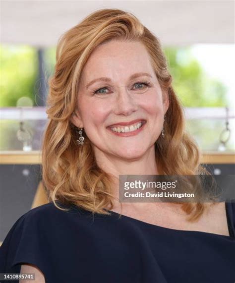 laura linney hot|3,990 Actresses Laura Linney Stock Photos & High